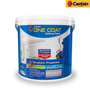 สีทาฝ้ากัปตันวันโคท